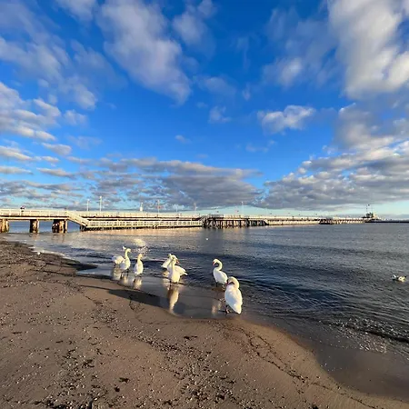 호스텔 Art Of 소포트