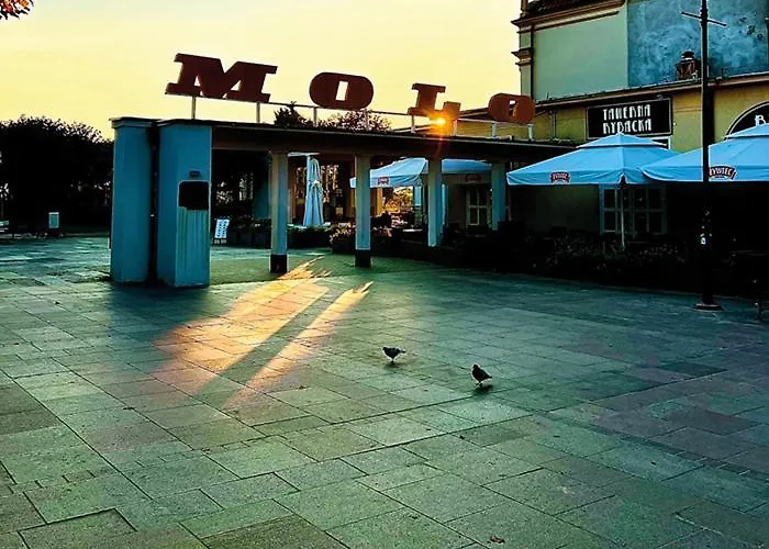 호스텔 Art Of 소포트