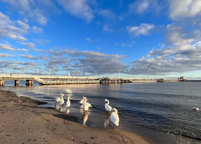 Vandrerhjem Art Of Sopot