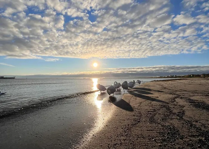 Art Of Vandrerhjem *